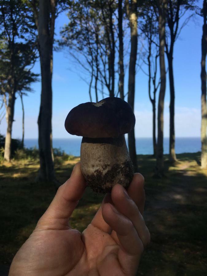 Morska Debina Villa Debina  Buitenkant foto